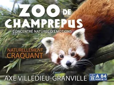 Animaux dans la maison de vacances ou à proximité