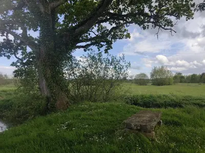 Paysage naturel près de l'appartement