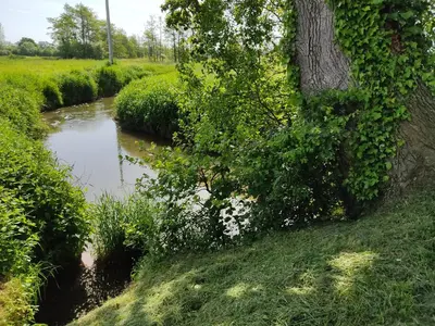 Paysage naturel près de l'appartement
