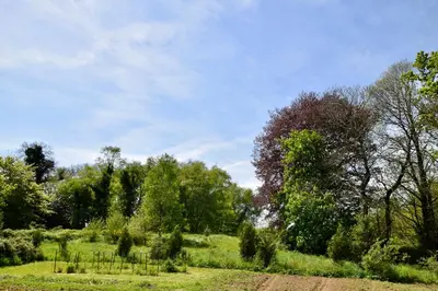 Paysage naturel près de la tente de luxe
