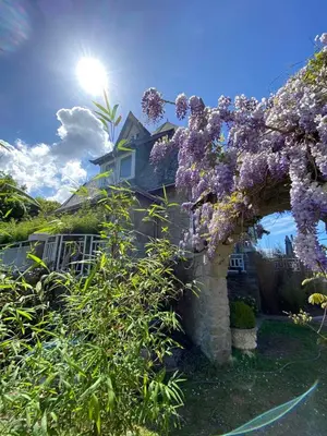 Jardin de l'établissement Villa Fresquet