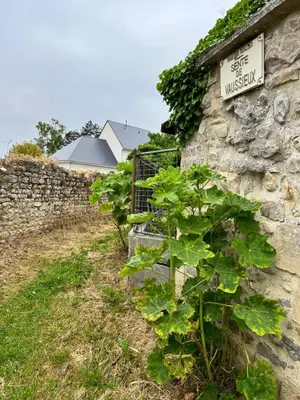 Jardin de l'établissement La Casa Normande, entre Ville et Plages, avec jardin privé