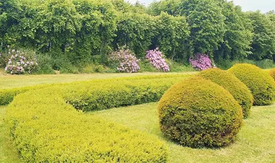 Jardin de l'établissement Le Domaine de la Férière