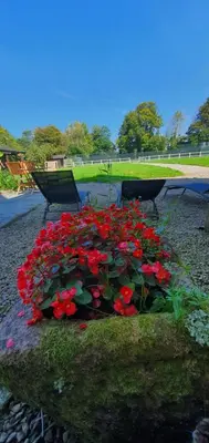 Jardin de l'établissement Manoir de Saint Ouen