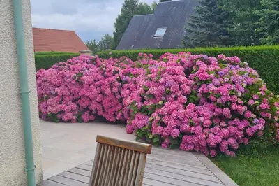 Jardin de l'établissement Villa 5*, mer à 3 mn, piscine intérieure à 28°