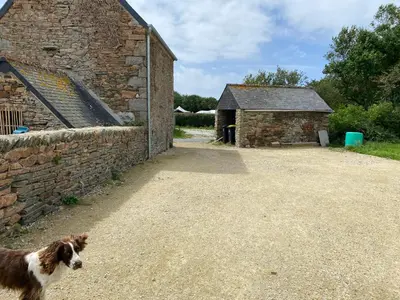 Animal ou animaux domestique(s) séjournant avec des clients dans l'établissement La cabane du banc José