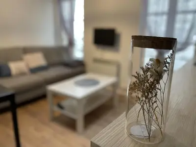 Télévision ou salle de divertissement dans l'établissement Saphir, Hyper centre ville au calme au fond d'une impasse