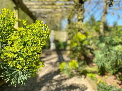 Jardin de l'établissement Prieuré de la Chesnaie x Melrose