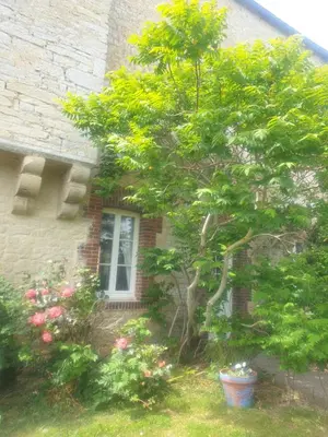 Jardin de l'établissement La Ferme de Barville & SPA