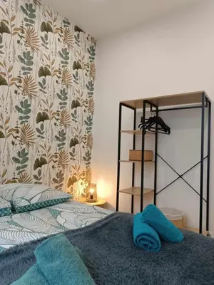 Un ou plusieurs lits dans un hébergement de l'établissement Joli appartement F2 hyper centre