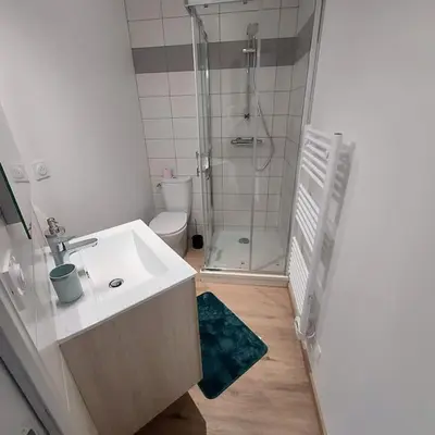 Salle de bains dans l'établissement Bel appartement F2 hyper centre refait à neuf