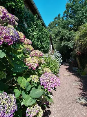 Jardin de l'établissement La Chevallerie - Exclusive tranquil oasis