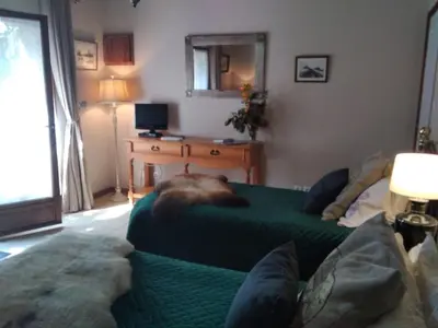 Télévision ou salle de divertissement dans l'établissement La Chevallerie - Exclusive tranquil oasis