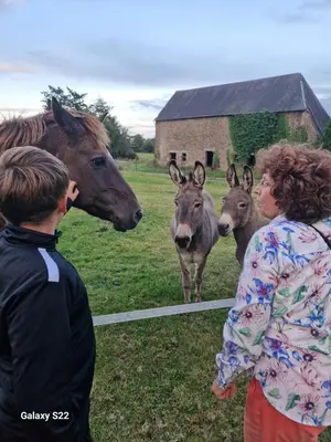 Animaux dans le camping ou à proximité