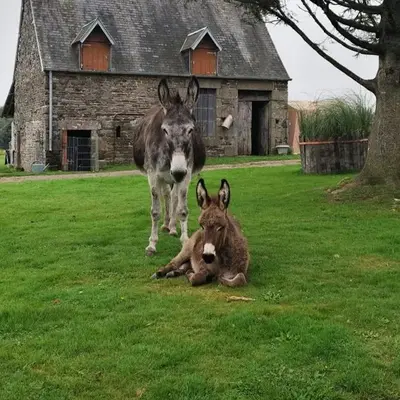 La Billardière Camping à la Ferme