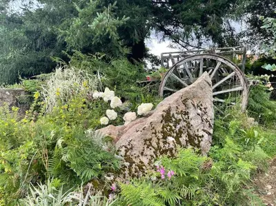 Jardin de l'établissement La Petit Fleur - the little flower, cosy cottage