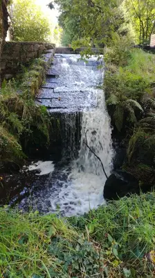 Paysage naturel près de la maison de vacances