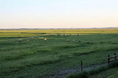 Paysage naturel près de la maison de vacances