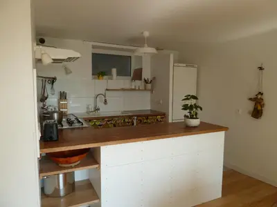 Cuisine ou kitchenette dans l'établissement L' ALBIZIA