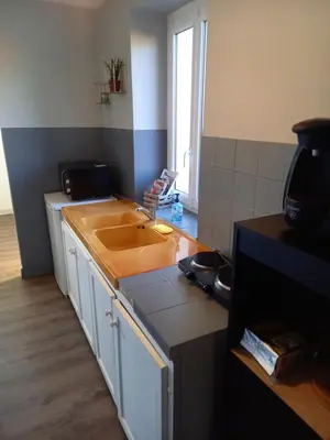 Cuisine ou kitchenette dans l'établissement Maison Thalène