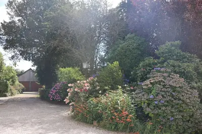 Jardin de l'établissement 