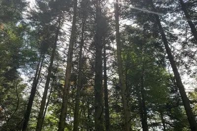 Paysage naturel près de l'appartement