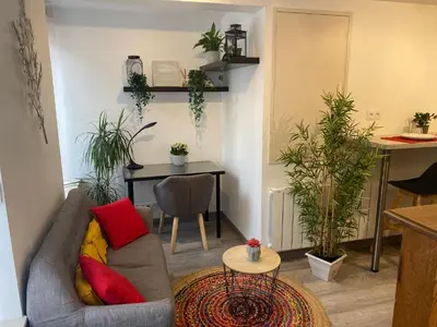 Coin salon dans l'établissement Charmant appartement proche du centre ville