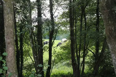 Paysage naturel près de le B&B/chambre d'hôtes