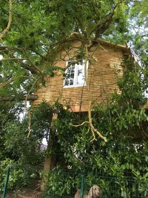 Jardin de l'établissement Chez Henri et Fée