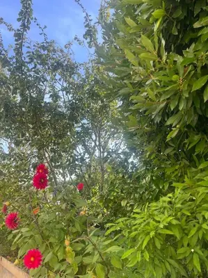 Jardin de l'établissement Charmante Maison proche mer