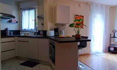 Cuisine ou kitchenette dans l'établissement Appartement avec jardin - Centre-ville à 10 minutes à pied