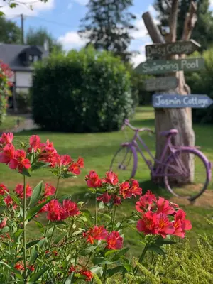 Jardin de l'établissement Daisy Cottage with seasonal Swimming Pool
