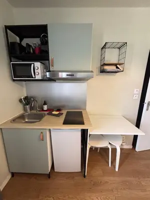Cuisine ou kitchenette dans l'établissement Appart du Théâtre
