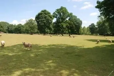 Animaux dans la maison de vacances ou à proximité