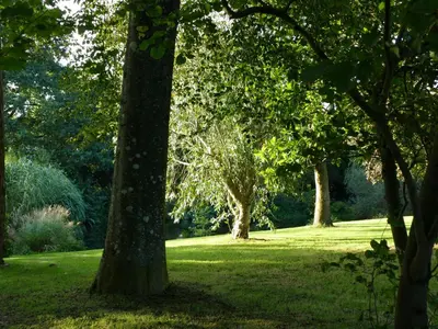 Jardin de l'établissement le cocon d'amour 