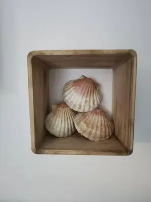 Plan de l'établissement Ôcalme, Idéal à 2, jardin, plage