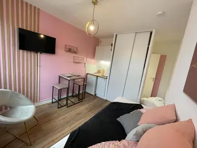 Télévision ou salle de divertissement dans l'établissement Rose, Studio proche centre ville
