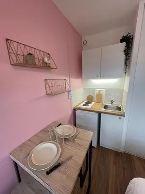 Cuisine ou kitchenette dans l'établissement Rose, Studio proche centre ville