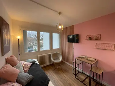 Télévision ou salle de divertissement dans l'établissement Rose, Studio proche centre ville