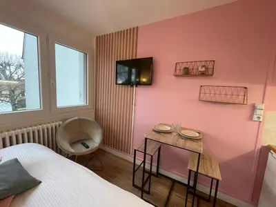 Télévision ou salle de divertissement dans l'établissement Rose, Studio proche centre ville