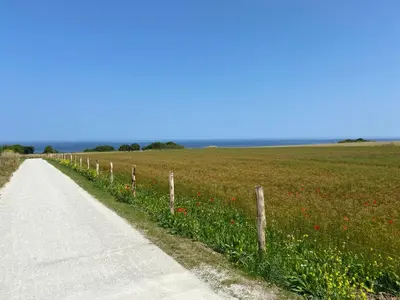 Paysage naturel près de la maison de vacances