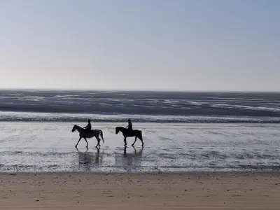 Animaux dans la maison de vacances ou à proximité