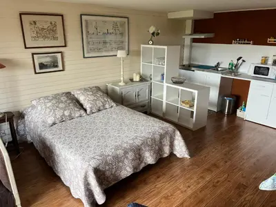 Cuisine ou kitchenette dans l'établissement Grand Studio Vue Mer et Jardin