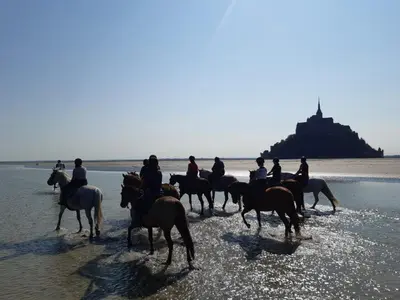 Équitation au sein de l'appartement ou à proximité