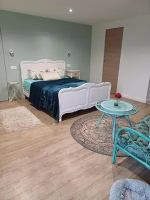 Cuisine ou kitchenette dans l'établissement un petit studio moderne et conviviale