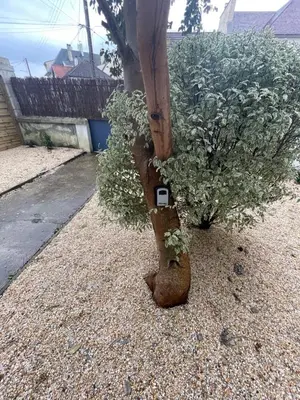 Jardin de l'établissement Ajania, Appt avec parking et petit jardin privé
