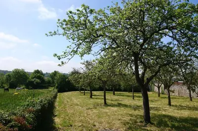 Jardin de l'établissement Gîte Les Pommiers