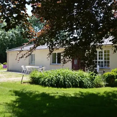 Le Hêtre Pourpre