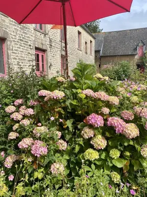 Jardin de l'établissement Les Pommiers d'Amfreville, Chambres d'hôtes & Table d'hôtes