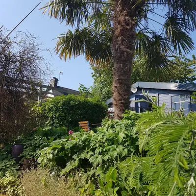 Jardin de l'établissement LE jardin